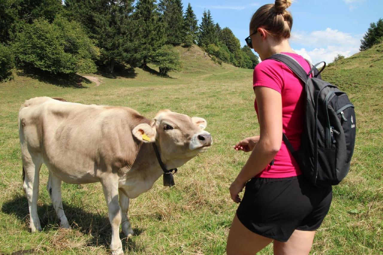 Haus Bagci Lägenhet Füssen Exteriör bild